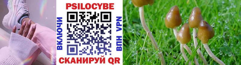mega онион  купить закладку  Калачинск  Псилоцибиновые грибы Psilocybe 